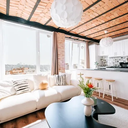 Flat W View Near Galata Tower In Istiklal Ave Apartment Istanbul